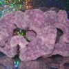 Crocheted Chenille Scrunchies - Image 6