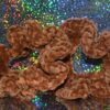 Crocheted Chenille Scrunchies - Image 7
