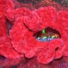 Crocheted Chenille Scrunchies - Image 2