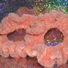 Crocheted Chenille Scrunchies - Image 4