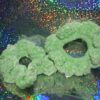 Crocheted Chenille Scrunchies - Image 5
